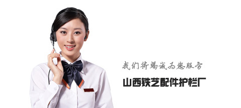 2XZ����Ƭʽ��ձõ���̖���x